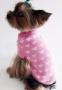 Venta de Animales y mascotas: Ropa de invierno para cachorritos perros toy miniatura